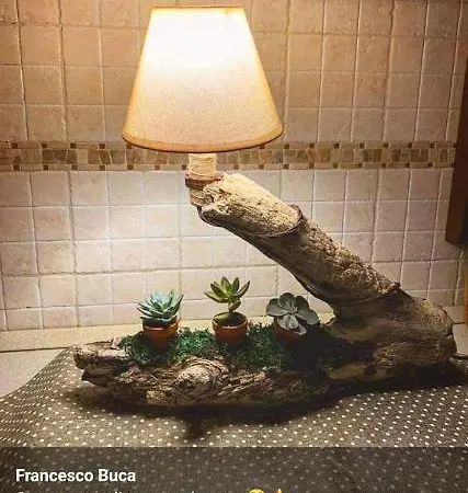 Sweet Dream Bed & Breakfast